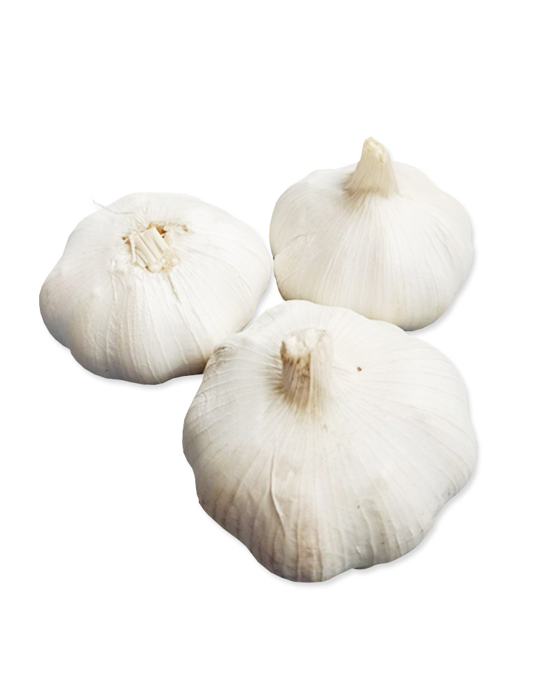 Bawang Garlic Super White