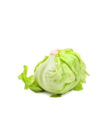 Iceberg Lettuce