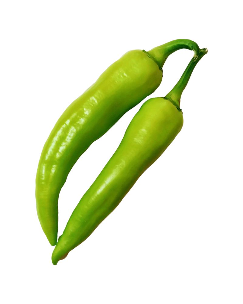 Sili Panigang