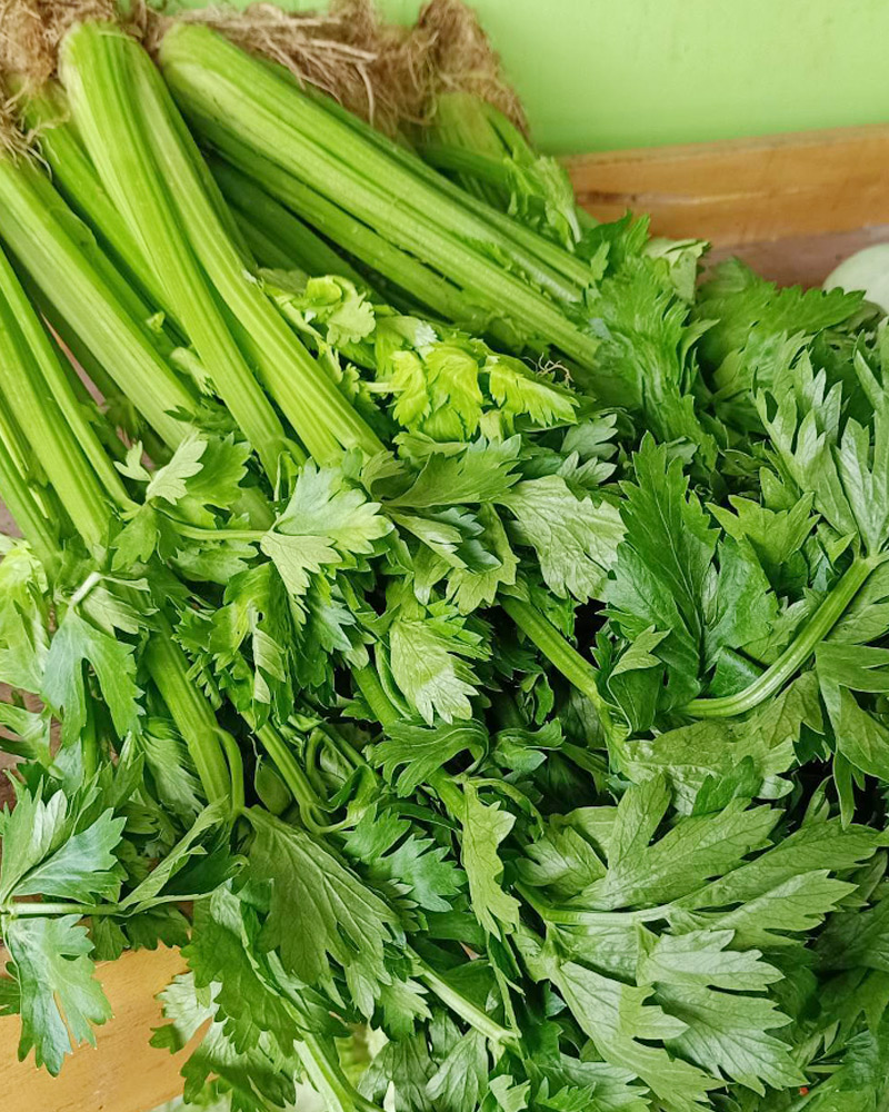 Celery