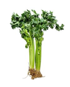 Celery