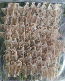 Dried Fish Tocino Bones