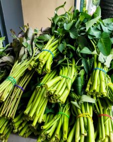 Kangkong Water Spinach